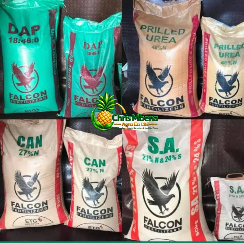 Fertilizers and crop nutrition