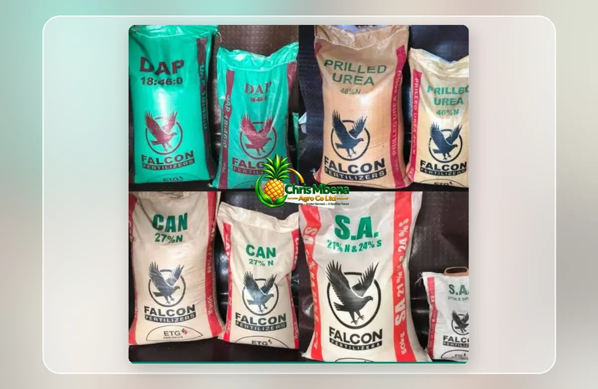Client-provided fertilizer bags featuring DAP, urea, CAN and sulphate of ammonia